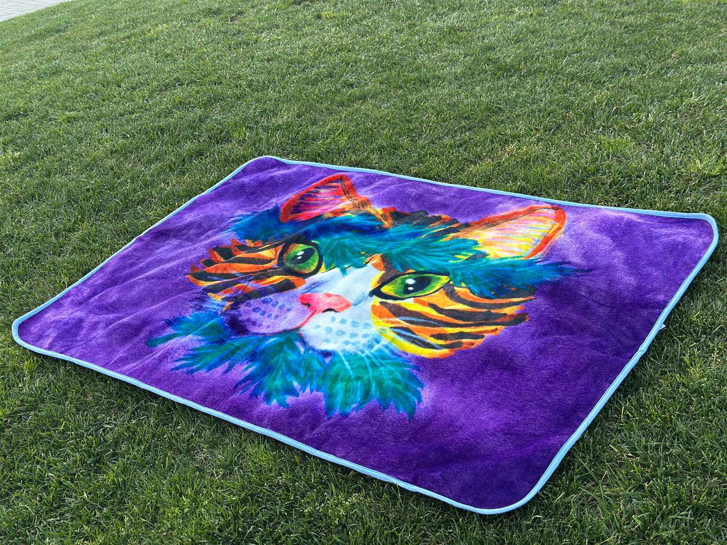 Healer Cat Blanket