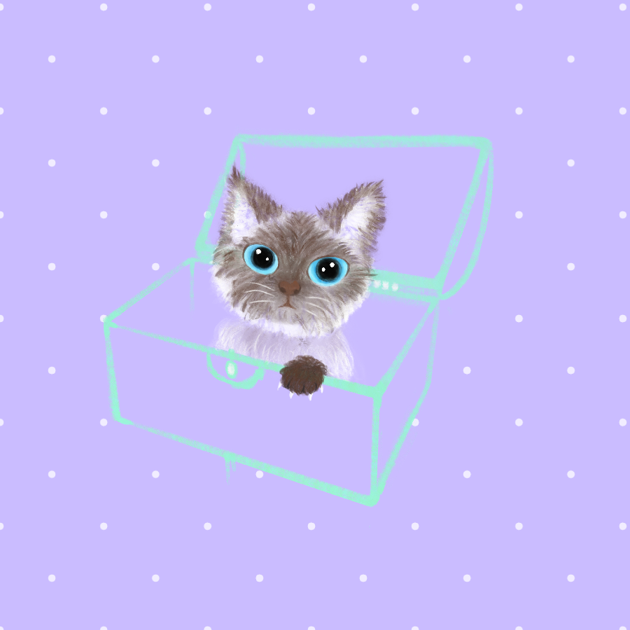 Original digital illustration of a fluffy, blue-eyed Siamese kitten peeking out of an open mint-green treasure box against a pastel lavender background with small white polka dots. Hand-drawn in Procreate by RTEM.