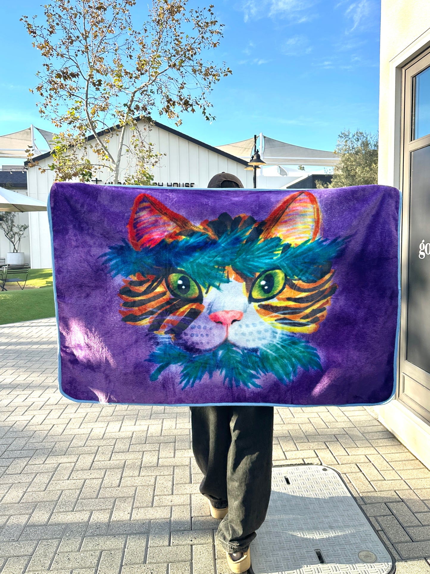 Healer Cat Blanket